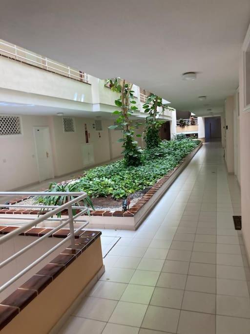Apartament Sunset Aliss プエルト・デ・サンティアゴ エクステリア 写真